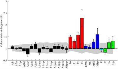 Systematic analysis of cell morphodynamics in C. elegans early embryogenesis